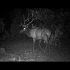 Meet your Posher, Hampton